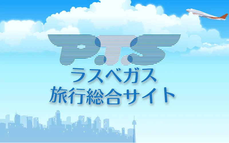 空港から市内への交通手段